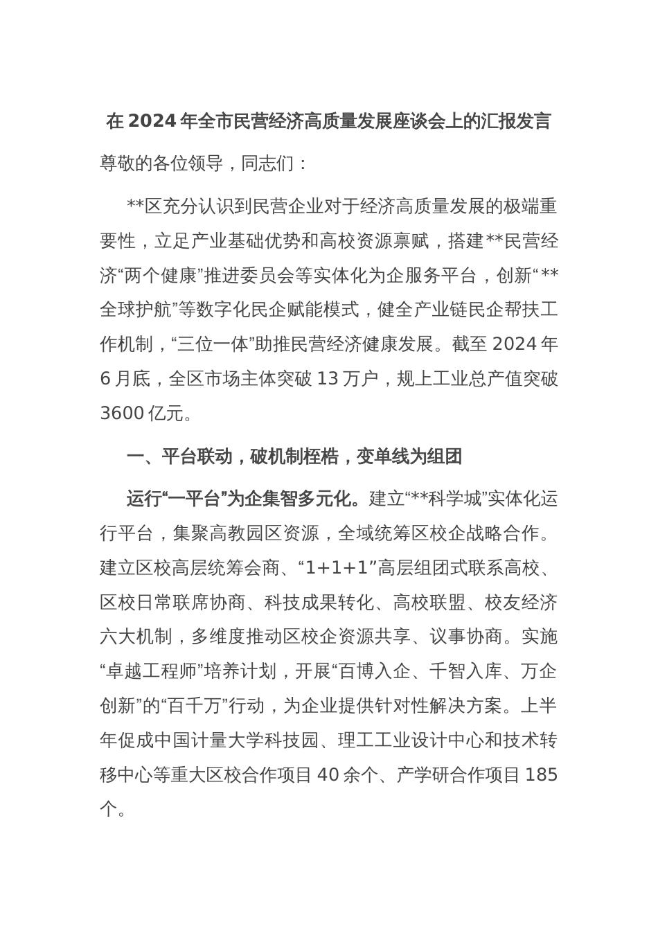 在2024年全市民营经济高质量发展座谈会上的汇报发言_第1页