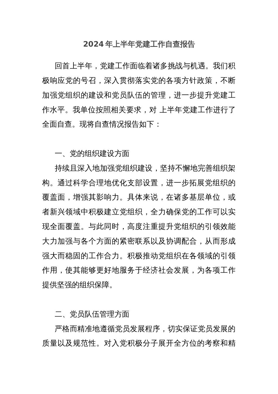 2024年上半年党建工作自查报告_第1页