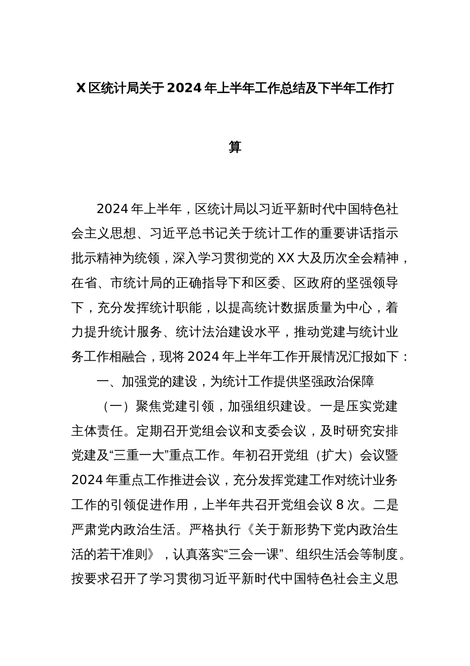 X区统计局关于2024年上半年工作总结及下半年工作打算_第1页