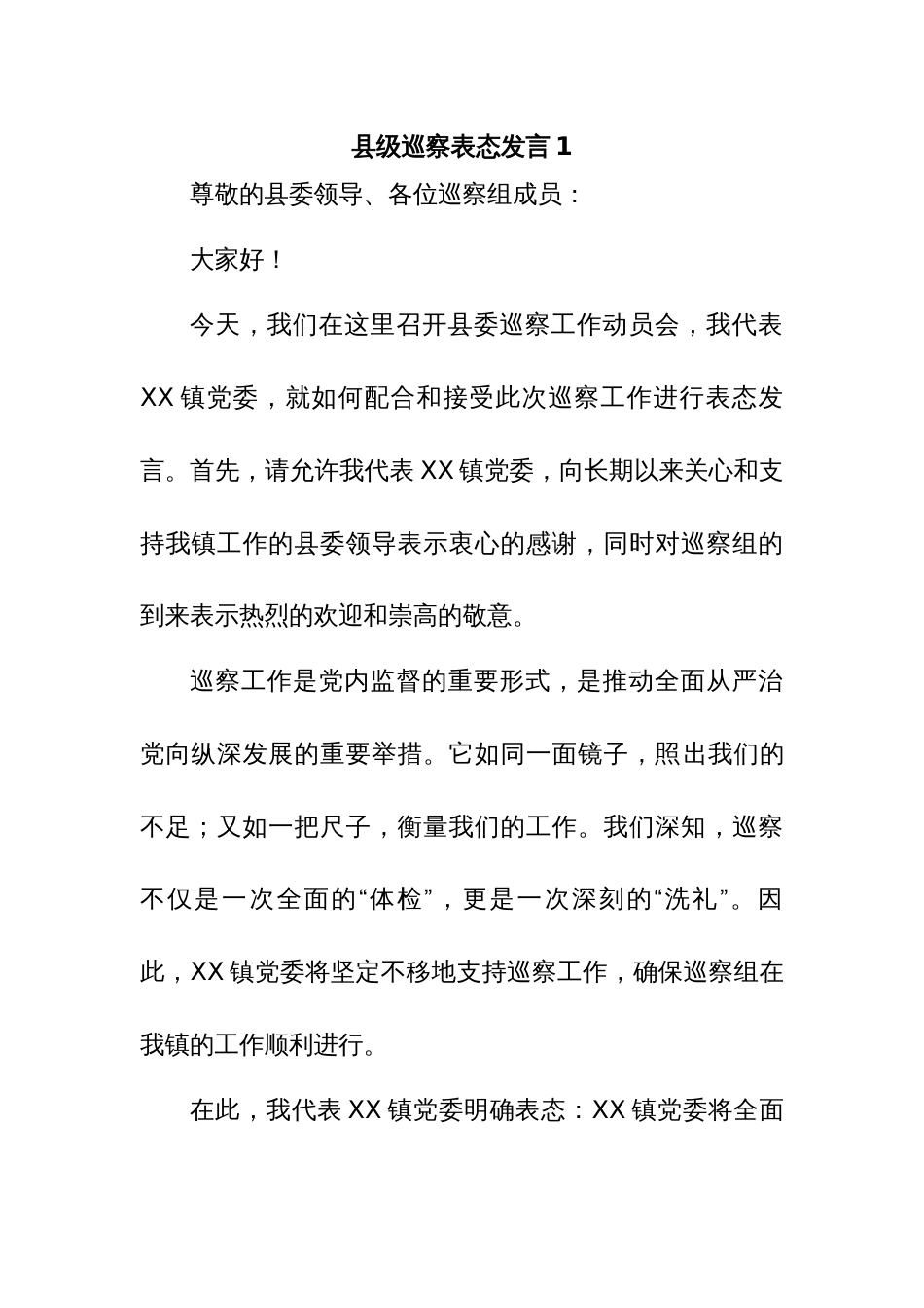 县级巡察表态发言_第1页