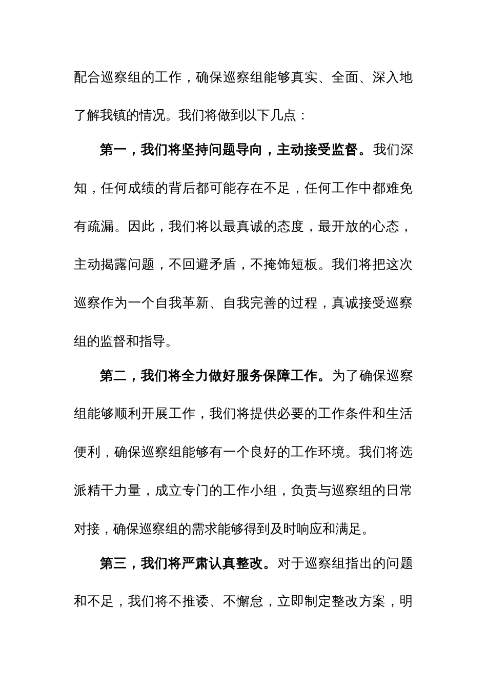 县级巡察表态发言_第2页