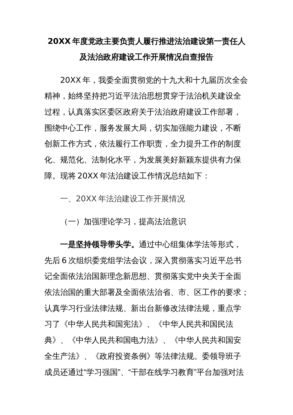 20XX年度党政主要负责人履行推进法治建设第一责任人及法治政府建设工作开展情况自查报告_第1页