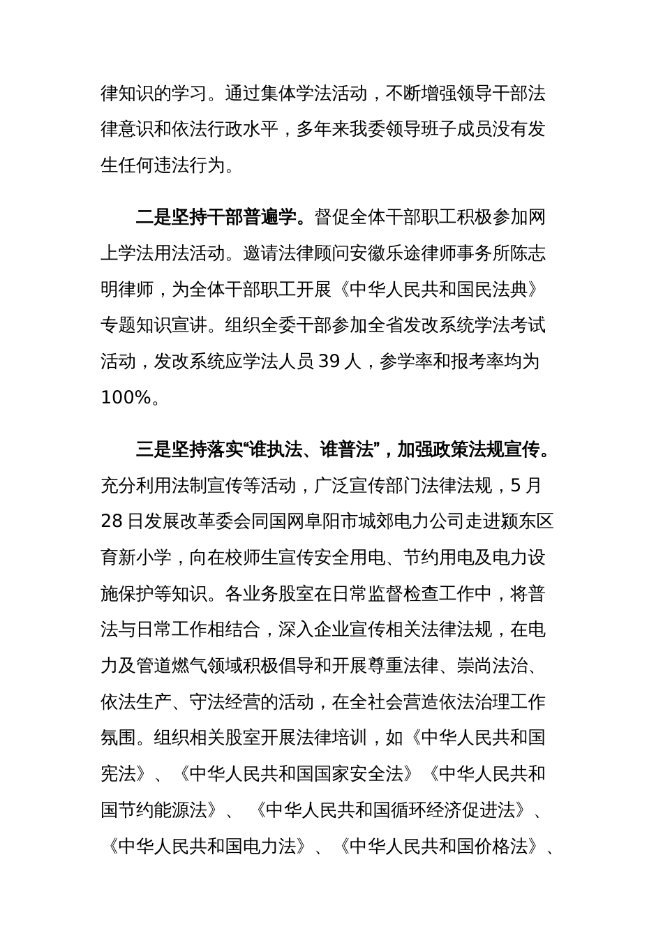 20XX年度党政主要负责人履行推进法治建设第一责任人及法治政府建设工作开展情况自查报告_第2页