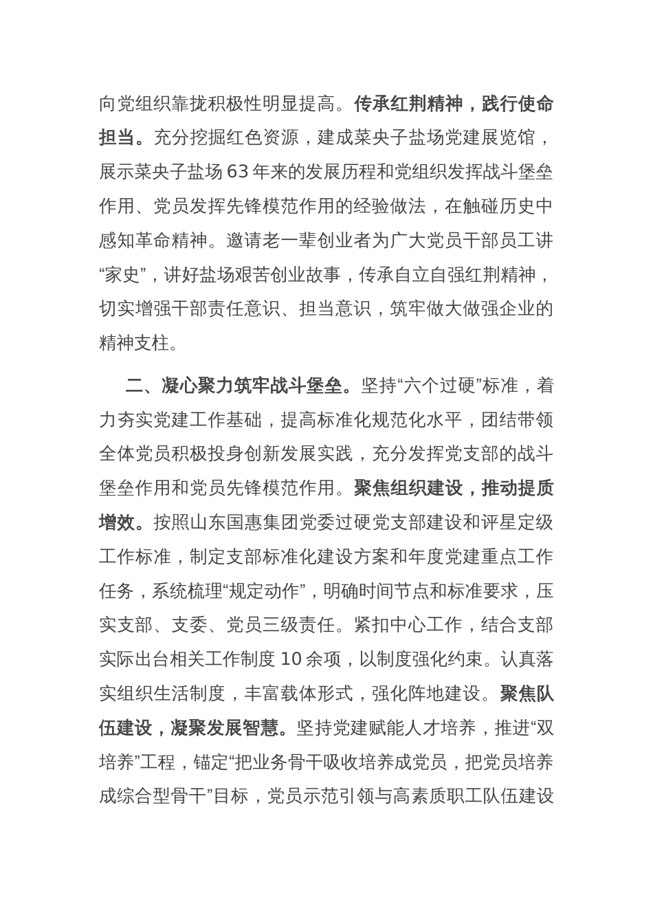 经验交流：党建引领风帆劲 擎旗奋进业绩新_第2页