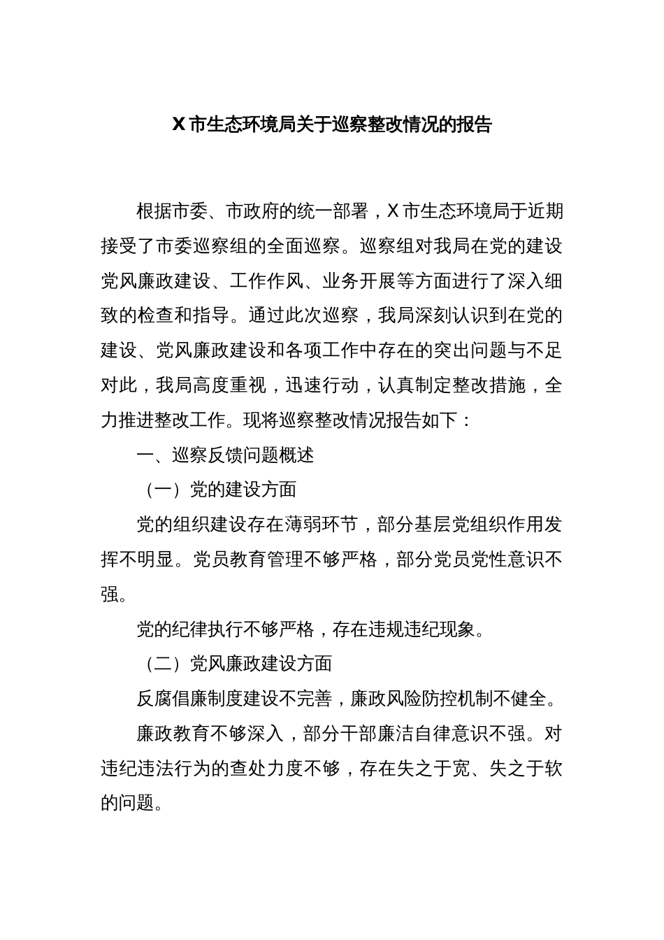 X市生态环境局关于巡察整改情况的报告_第1页