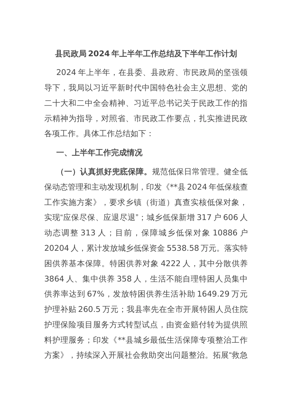 县民政局2024年上半年工作总结及下半年工作计划_第1页