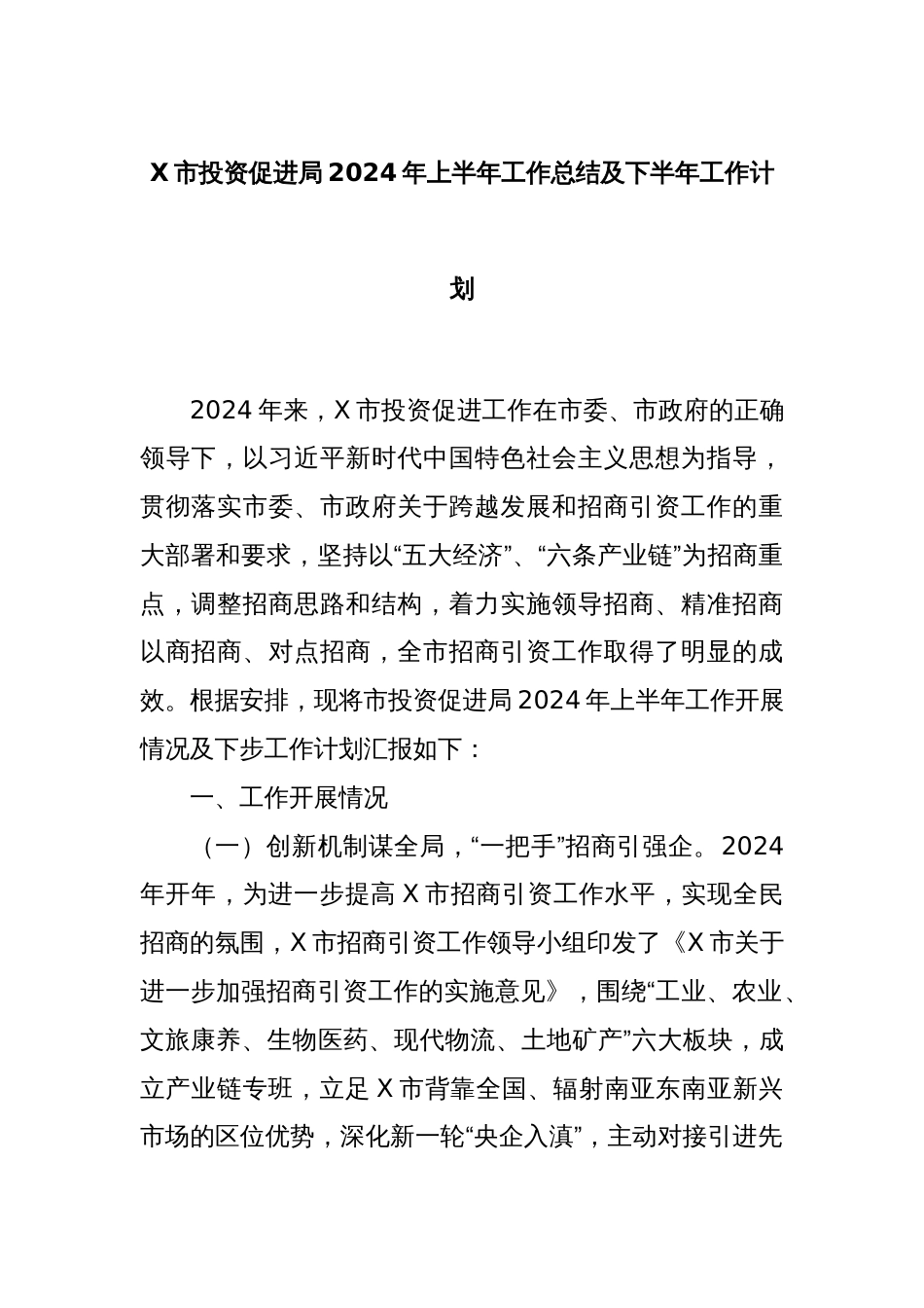 X市投资促进局2024年上半年工作总结及下半年工作计划_第1页