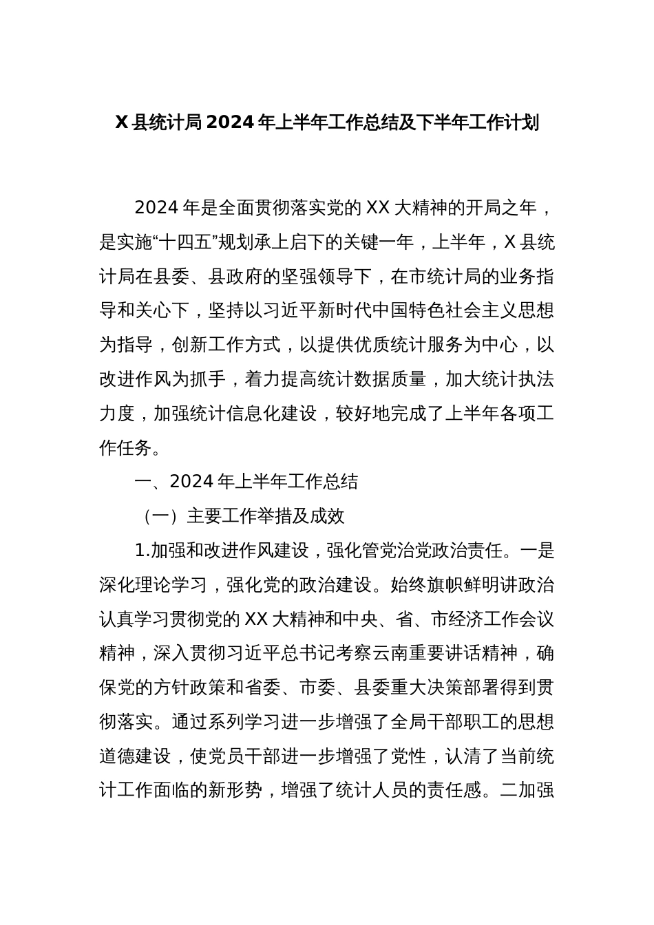 X县统计局2024年上半年工作总结及下半年工作计划_第1页