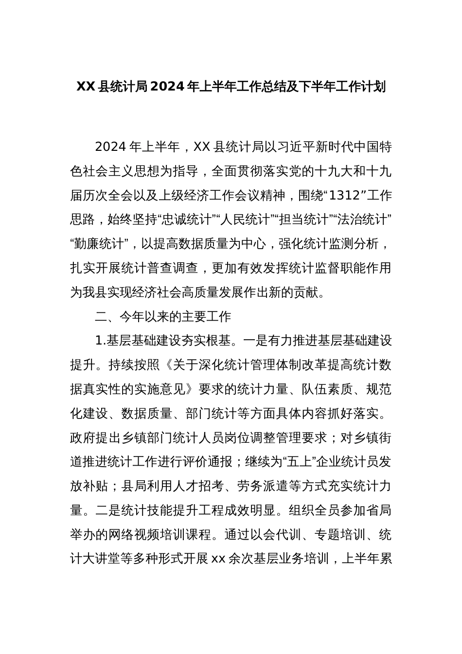 XX县统计局2024年上半年工作总结及下半年工作计划_第1页