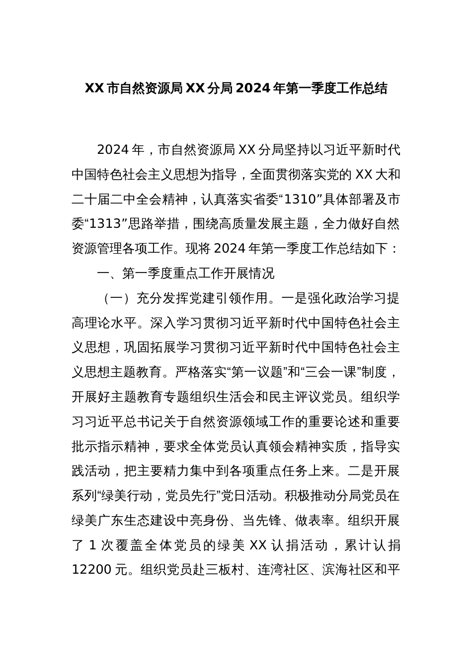 XX市自然资源局XX分局2024年第一季度工作总结_第1页