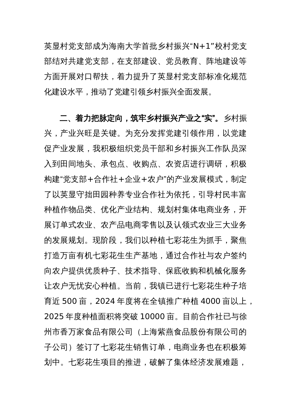 在乡村振兴工作会议上的交流发言_第2页