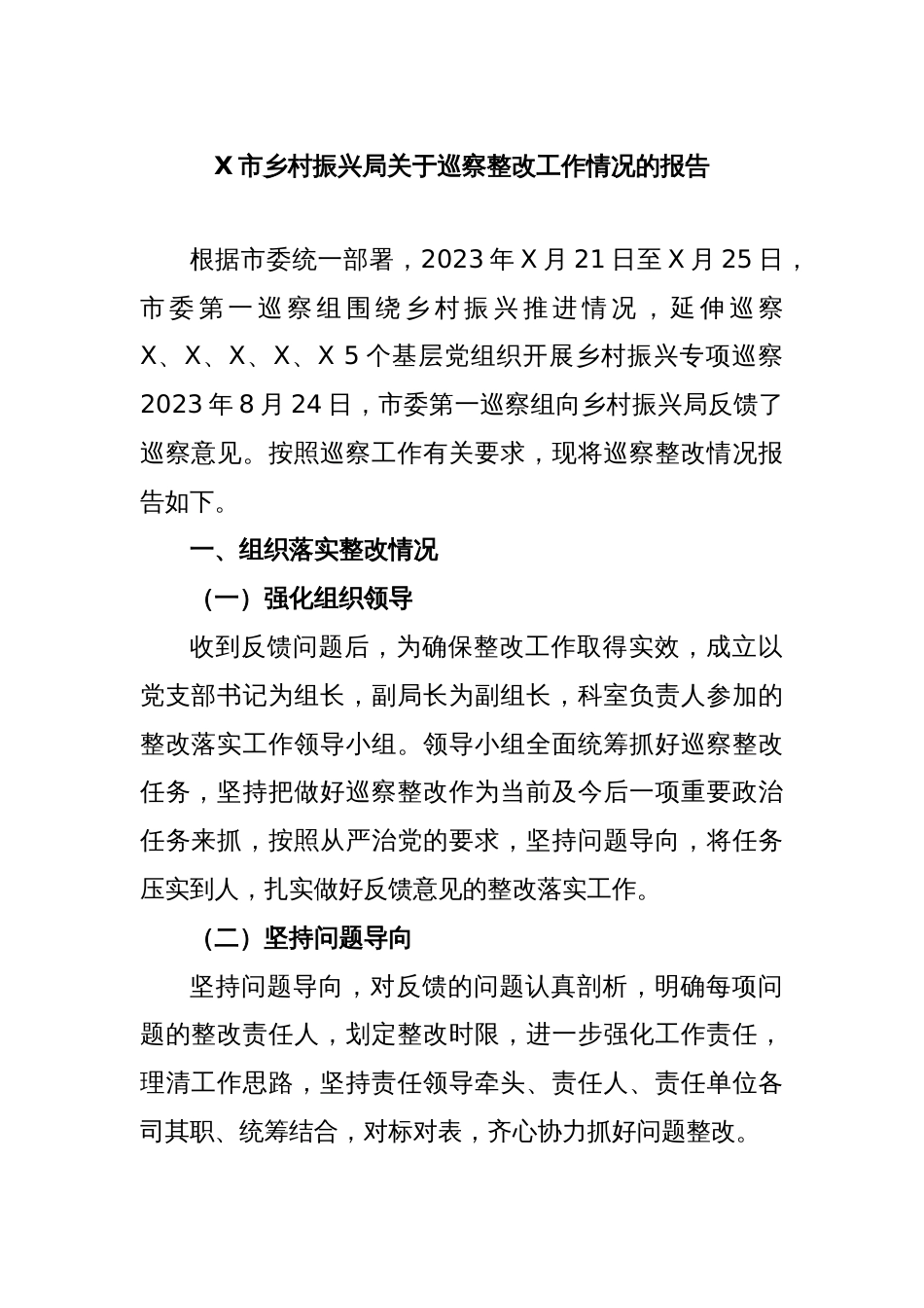 X市乡村振兴局关于巡察整改工作情况的报告_第1页