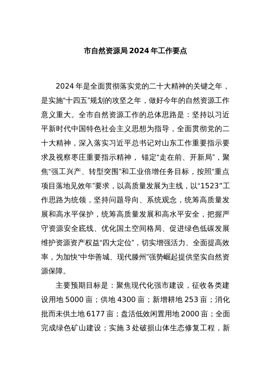 市自然资源局2024年工作要点_第1页