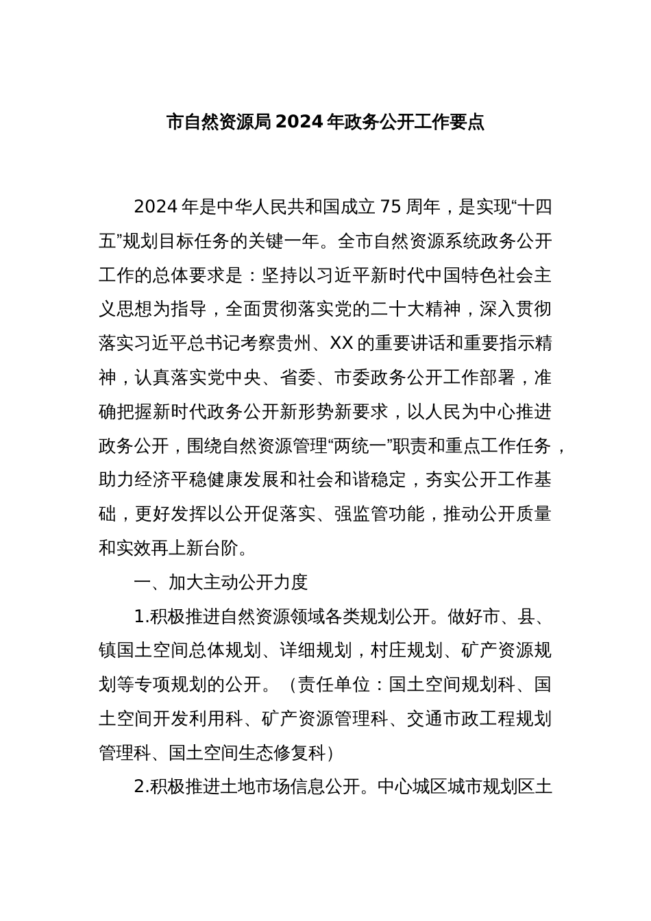市自然资源局2024年政务公开工作要点_第1页