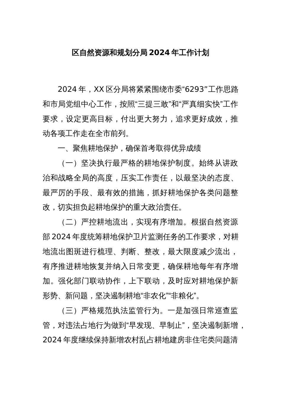 区自然资源和规划分局2024年工作计划_第1页