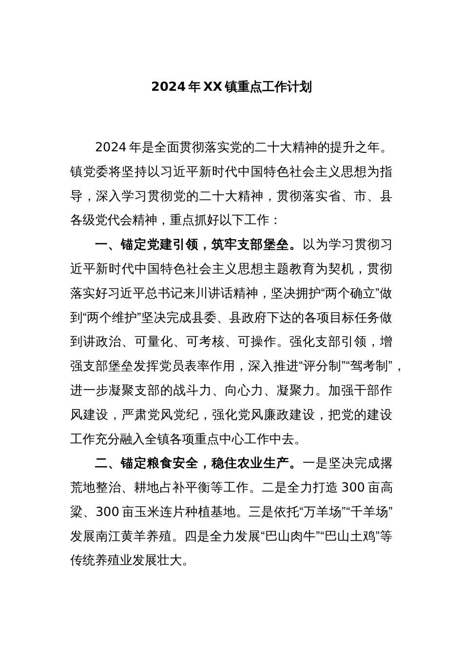 2024年XX镇重点工作计划_第1页