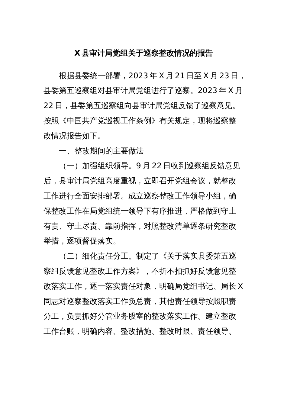 X县审计局党组关于巡察整改情况的报告_第1页