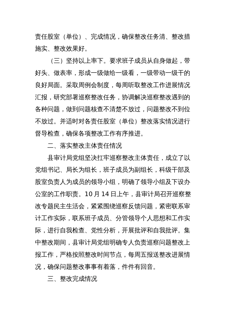 X县审计局党组关于巡察整改情况的报告_第2页