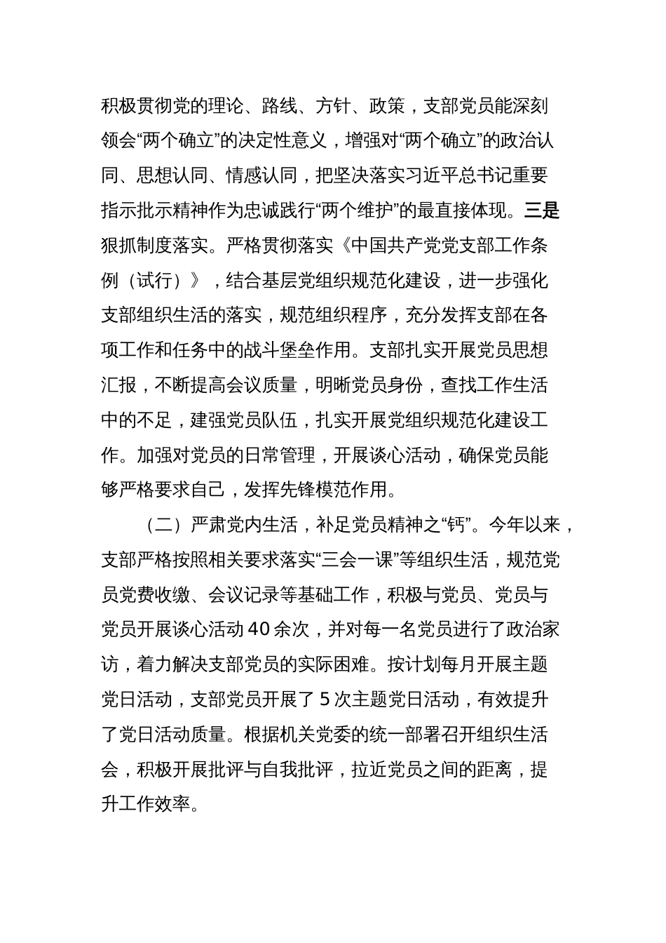 党支部书记抓党建工作述职_第2页