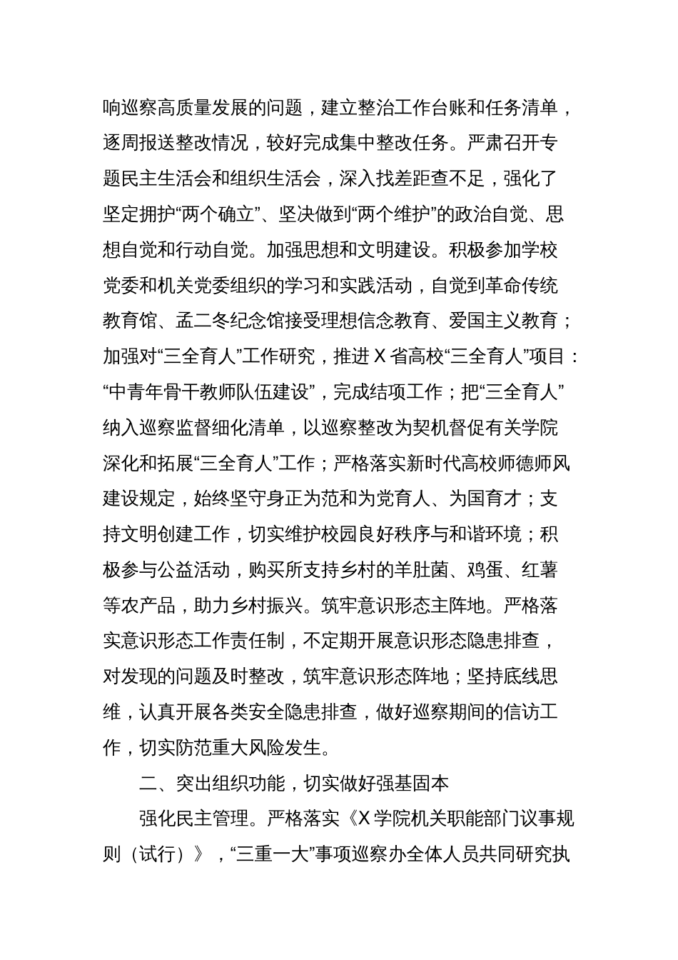 巡察办领导班子2023年度工作总结_第2页