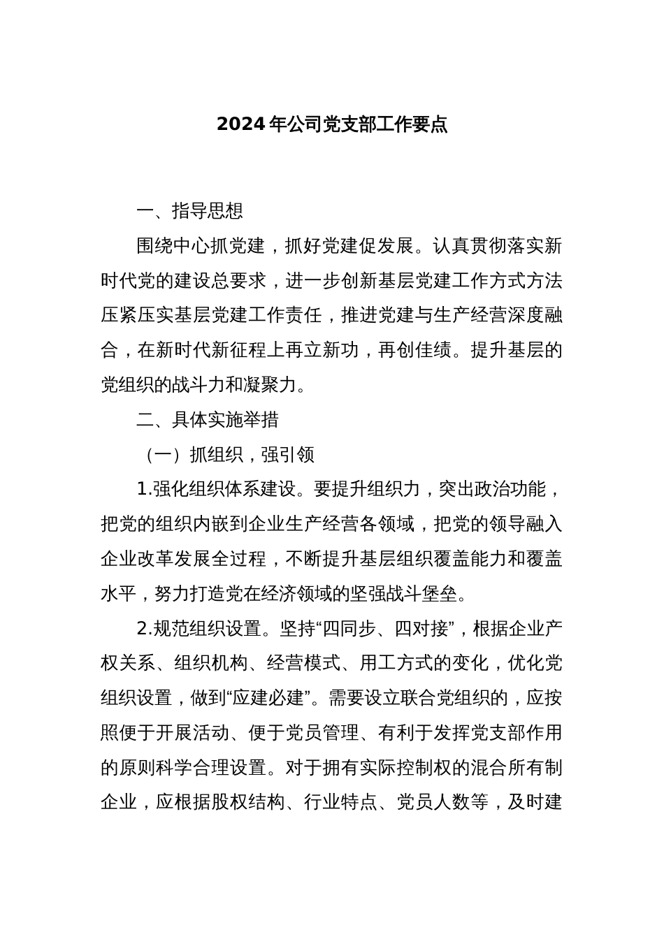 2024年公司党支部工作要点_第1页