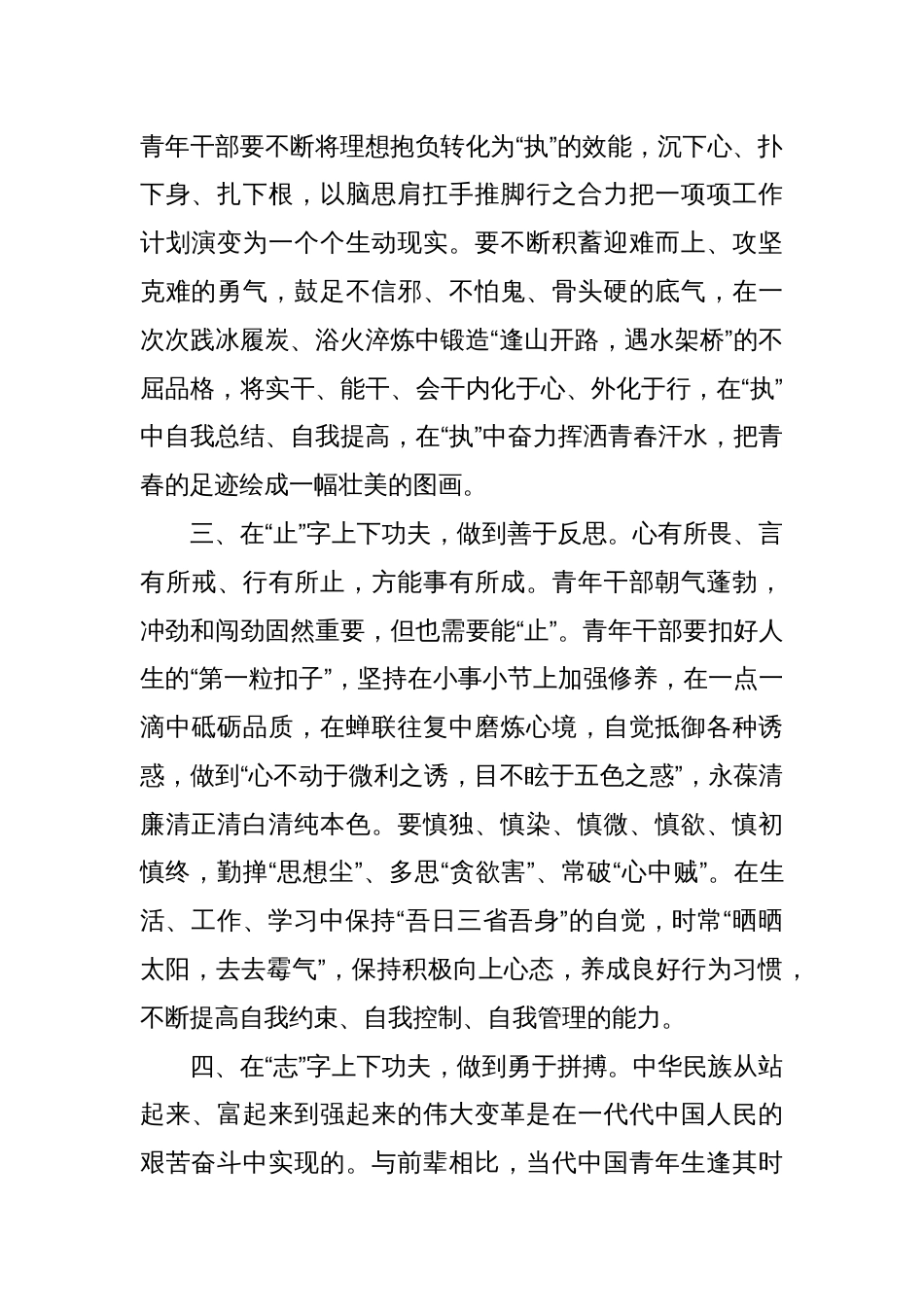 青年干部座谈发言提纲_第2页