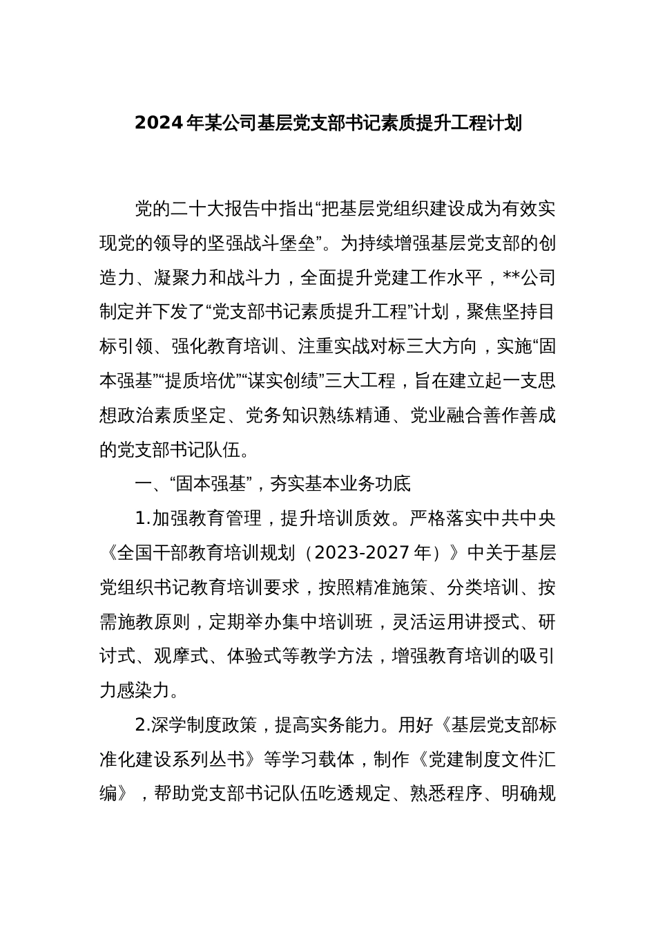 2024年某公司基层党支部书记素质提升工程计划_第1页