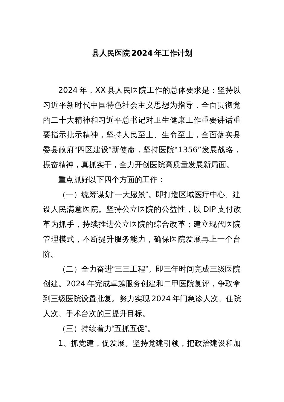 县人民医院2024年工作计划._第1页