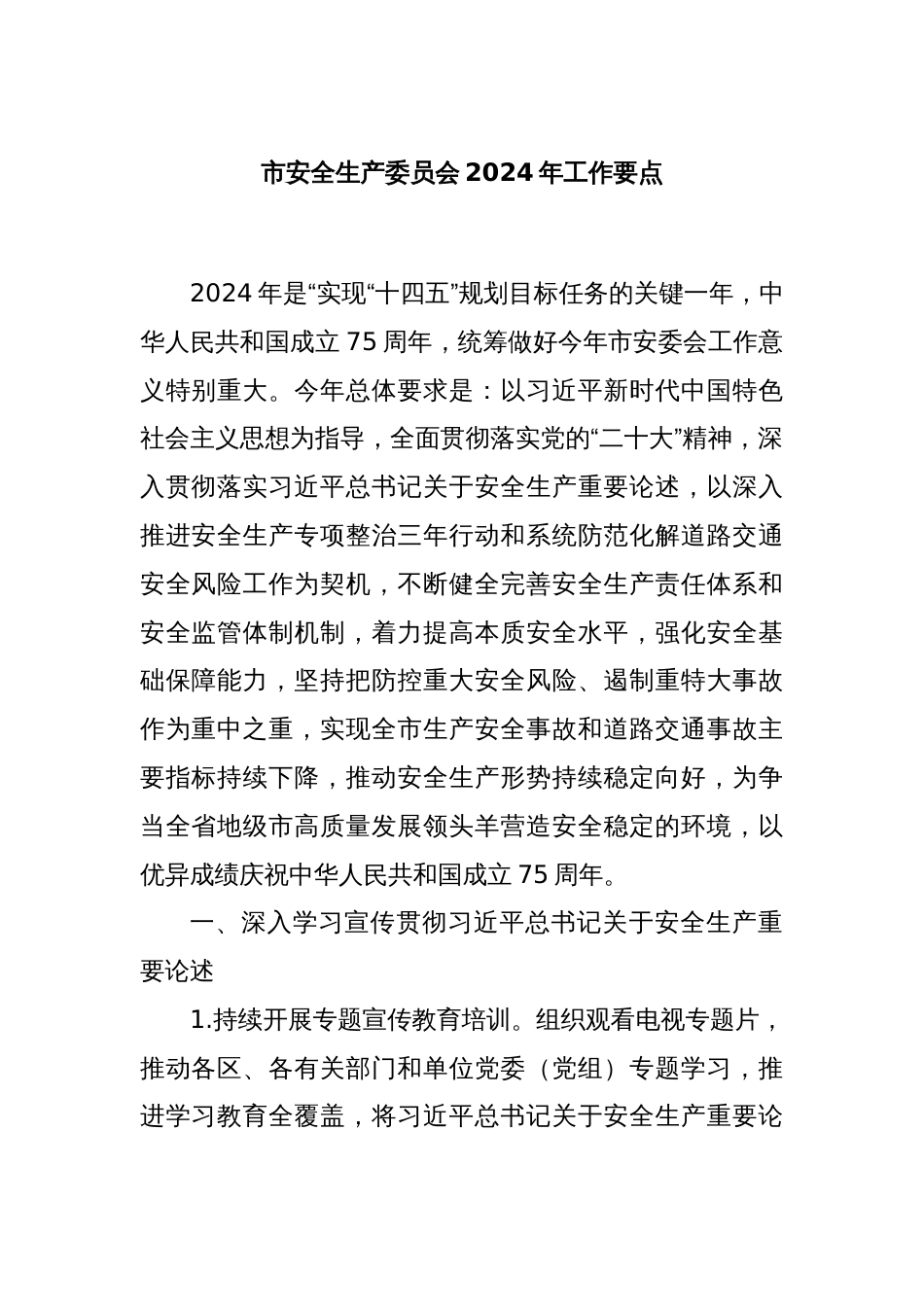 市安全生产委员会2024年工作要点_第1页