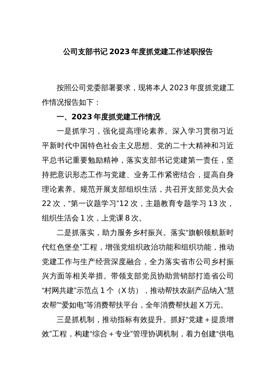 公司支部书记2023年度抓党建工作述职报告_第1页