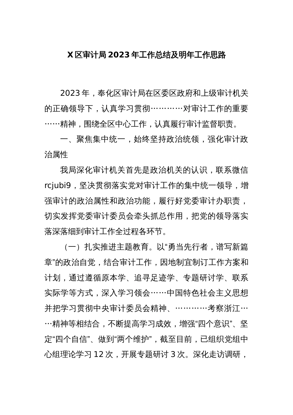 X区审计局2023年工作总结及明年工作思路_第1页