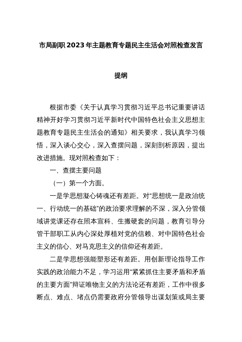 市局副职2023年主题教育专题民主生活会对照检查发言提纲_第1页