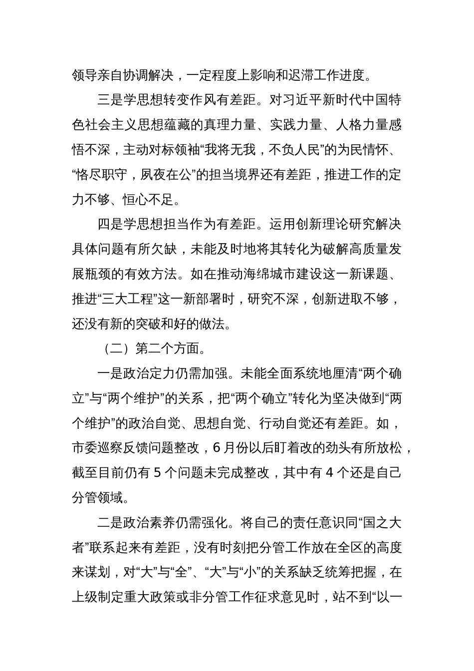 市局副职2023年主题教育专题民主生活会对照检查发言提纲_第2页