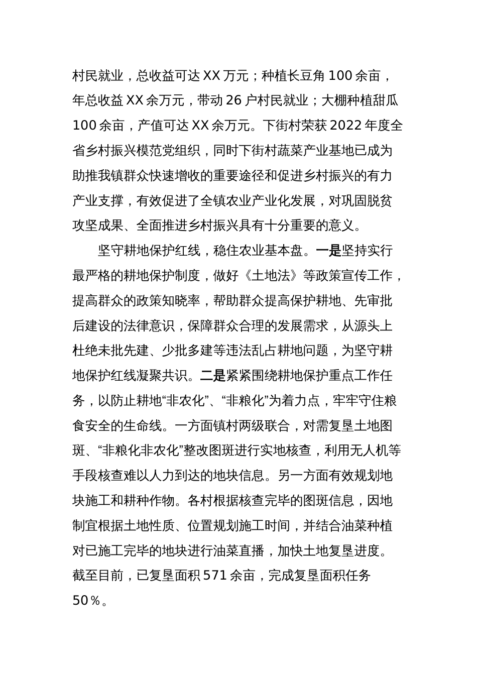 XX镇2023年工作总结和2024年工作计划_第2页