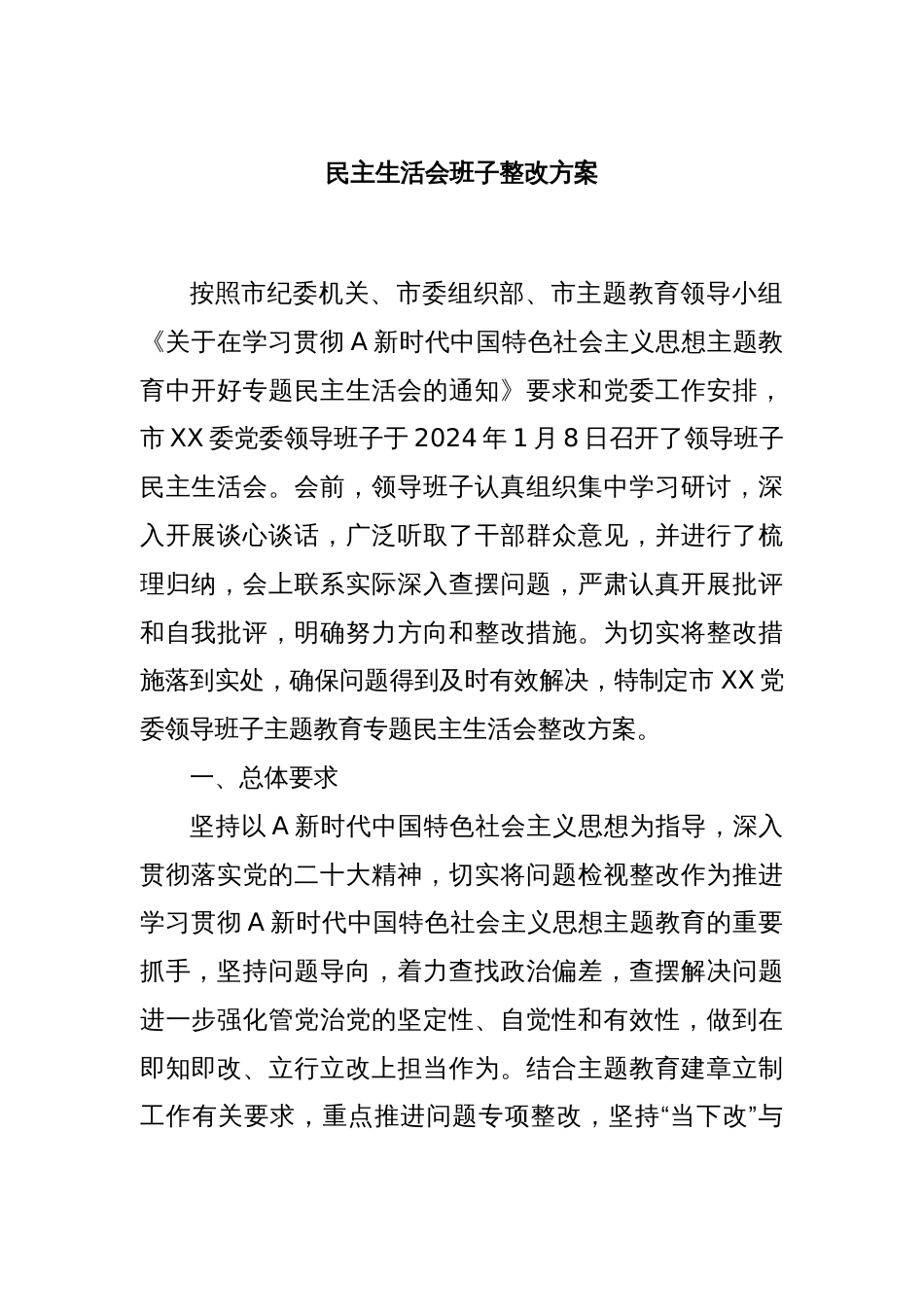 民主生活会班子整改方案_第1页