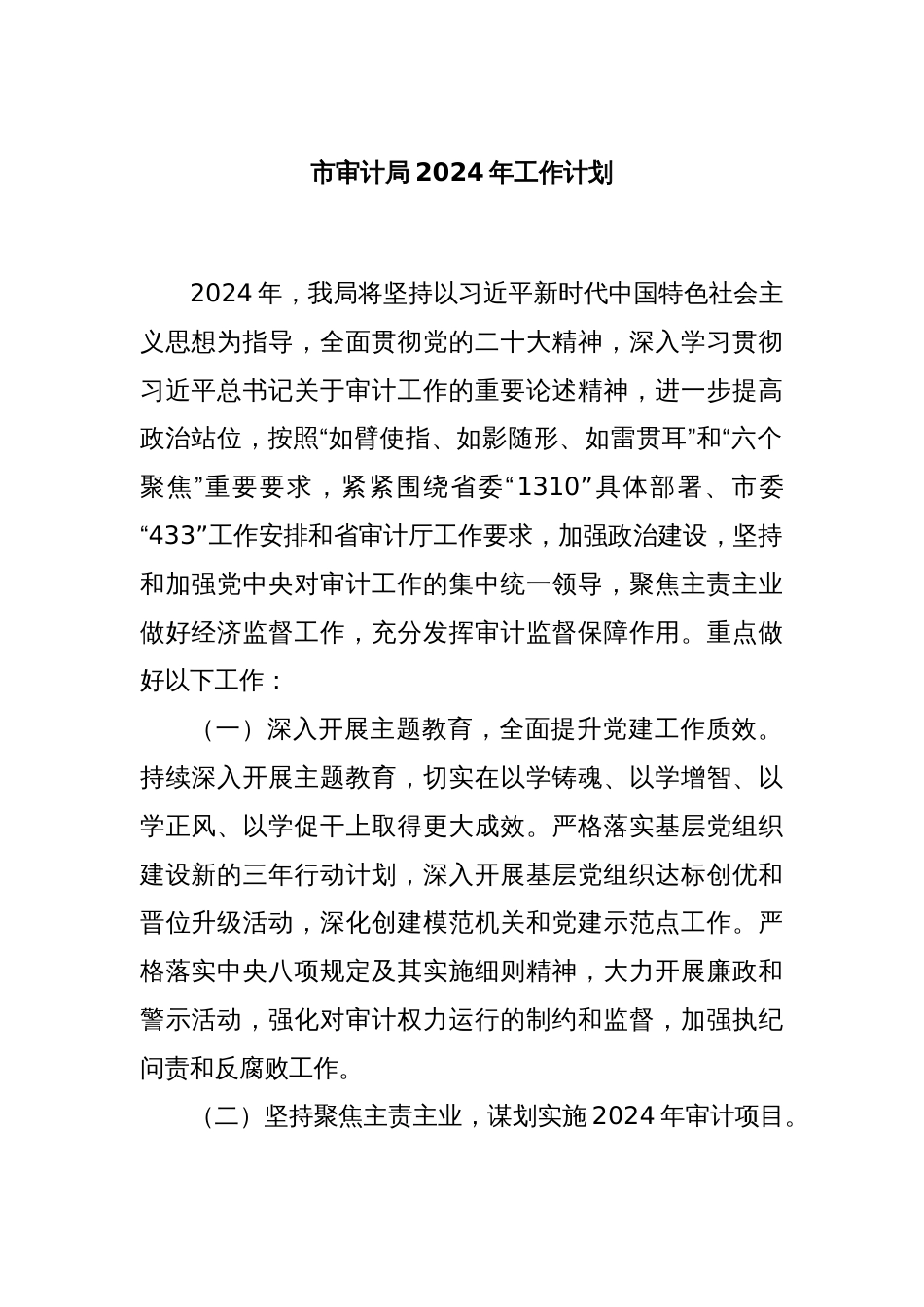 市审计局2024年工作计划_第1页