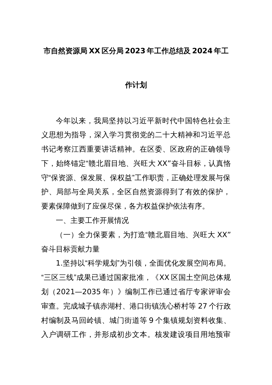 市自然资源局XX区分局2023年工作总结及2024年工作计划_第1页