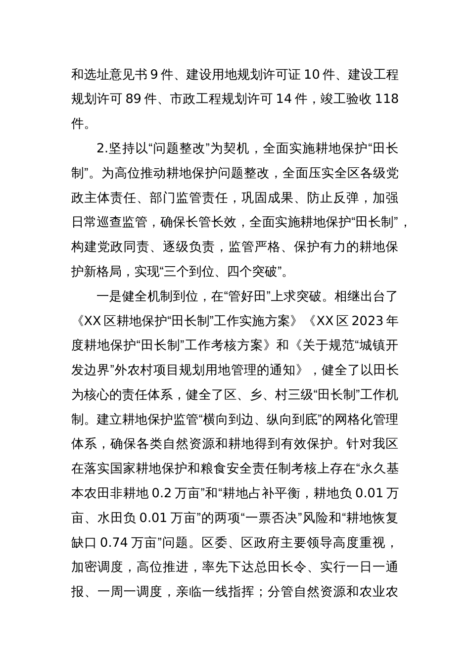 市自然资源局XX区分局2023年工作总结及2024年工作计划_第2页