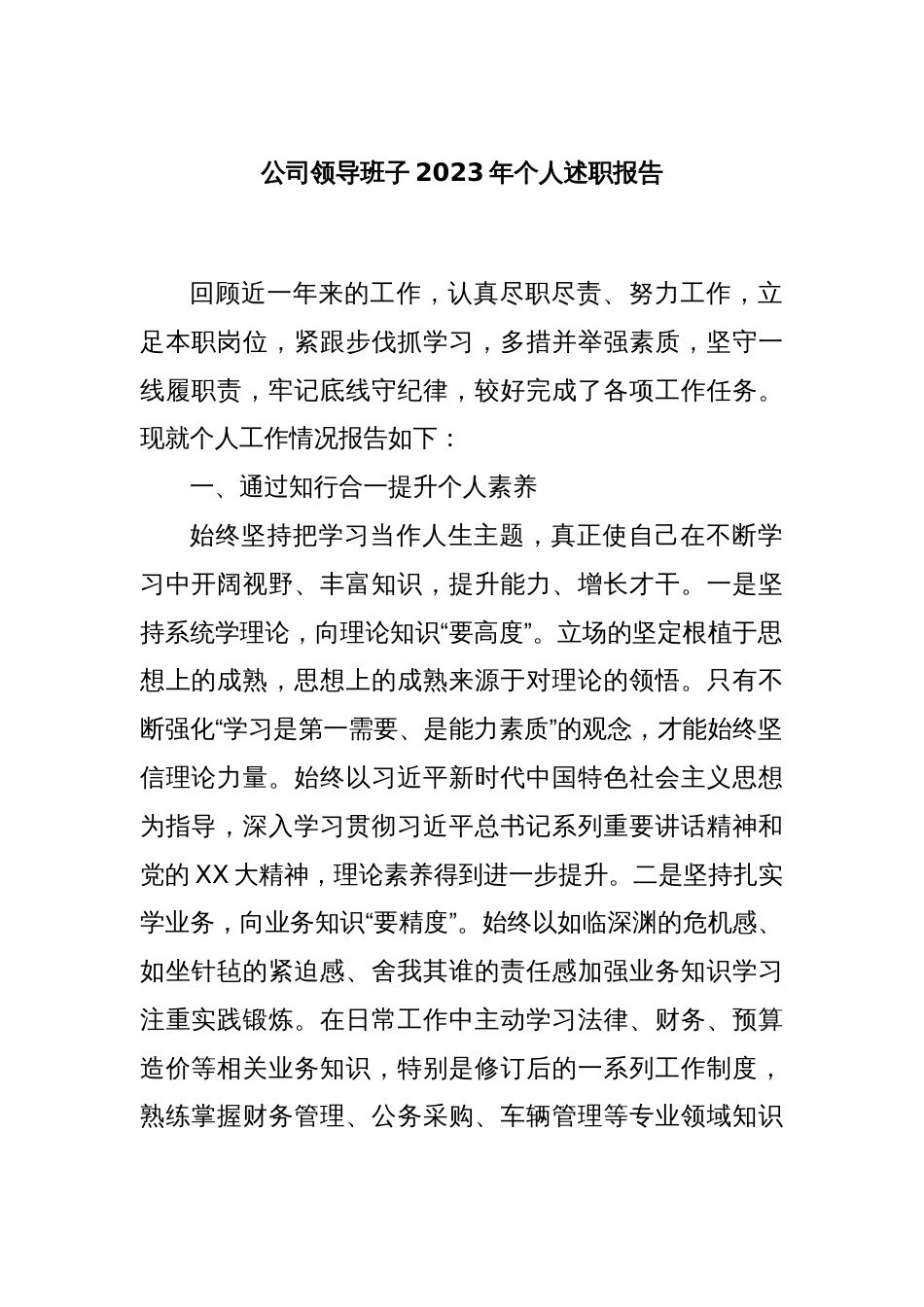 公司领导班子2023年个人述职报告_第1页