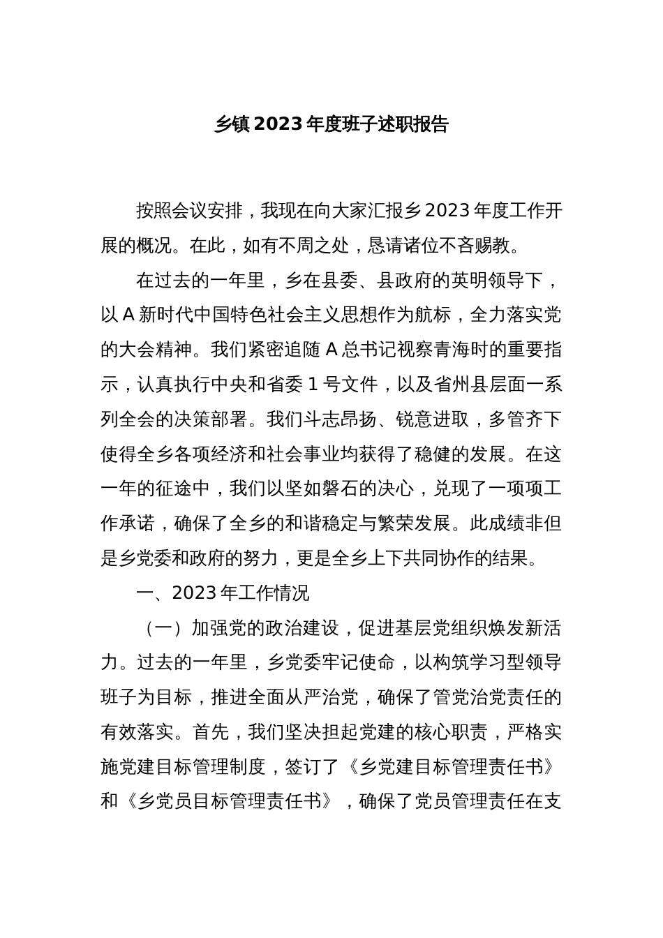 乡镇2023年度班子述职报告_第1页