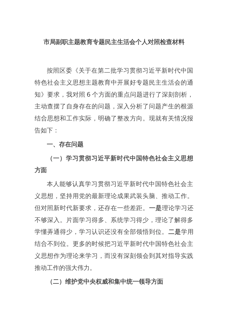 市局副职主题教育专题民主生活会个人对照检查材料_第1页