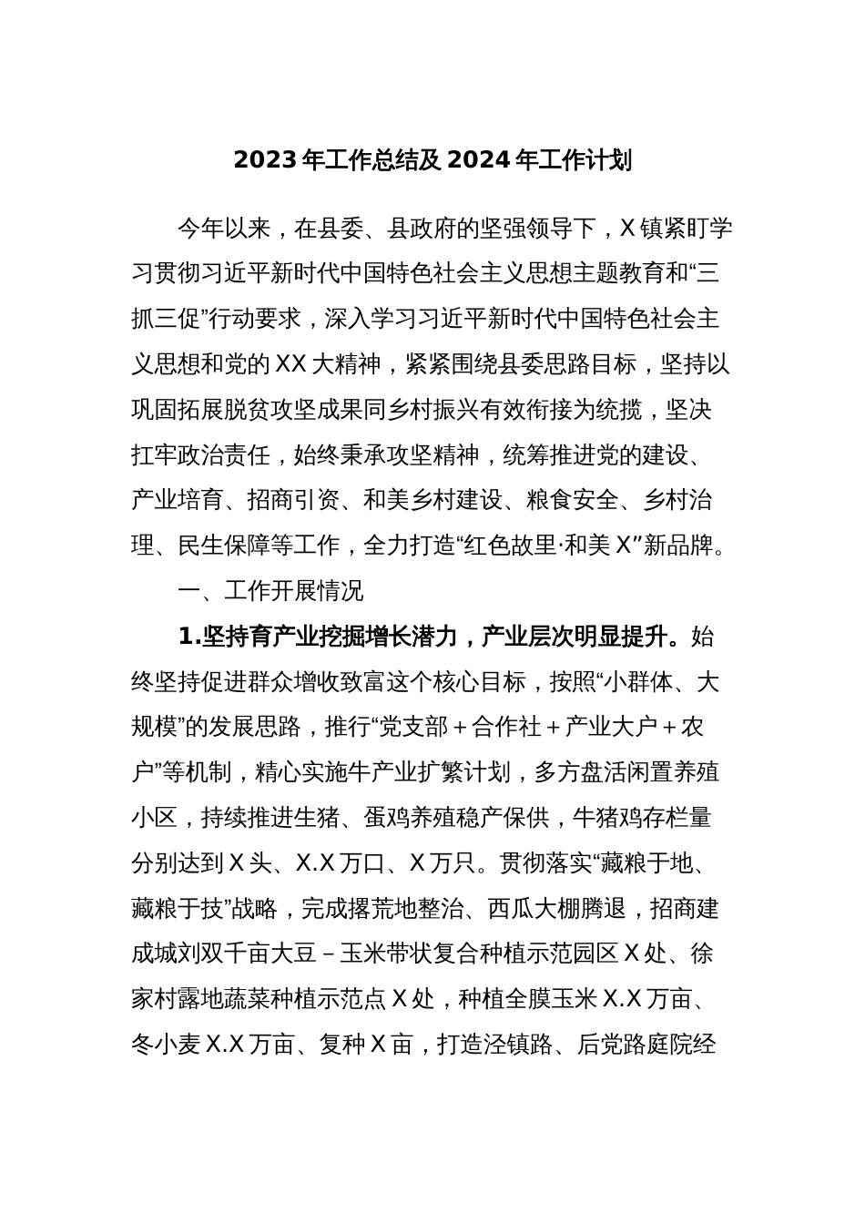 2023年工作总结及2024年工作计划 (3)_第1页