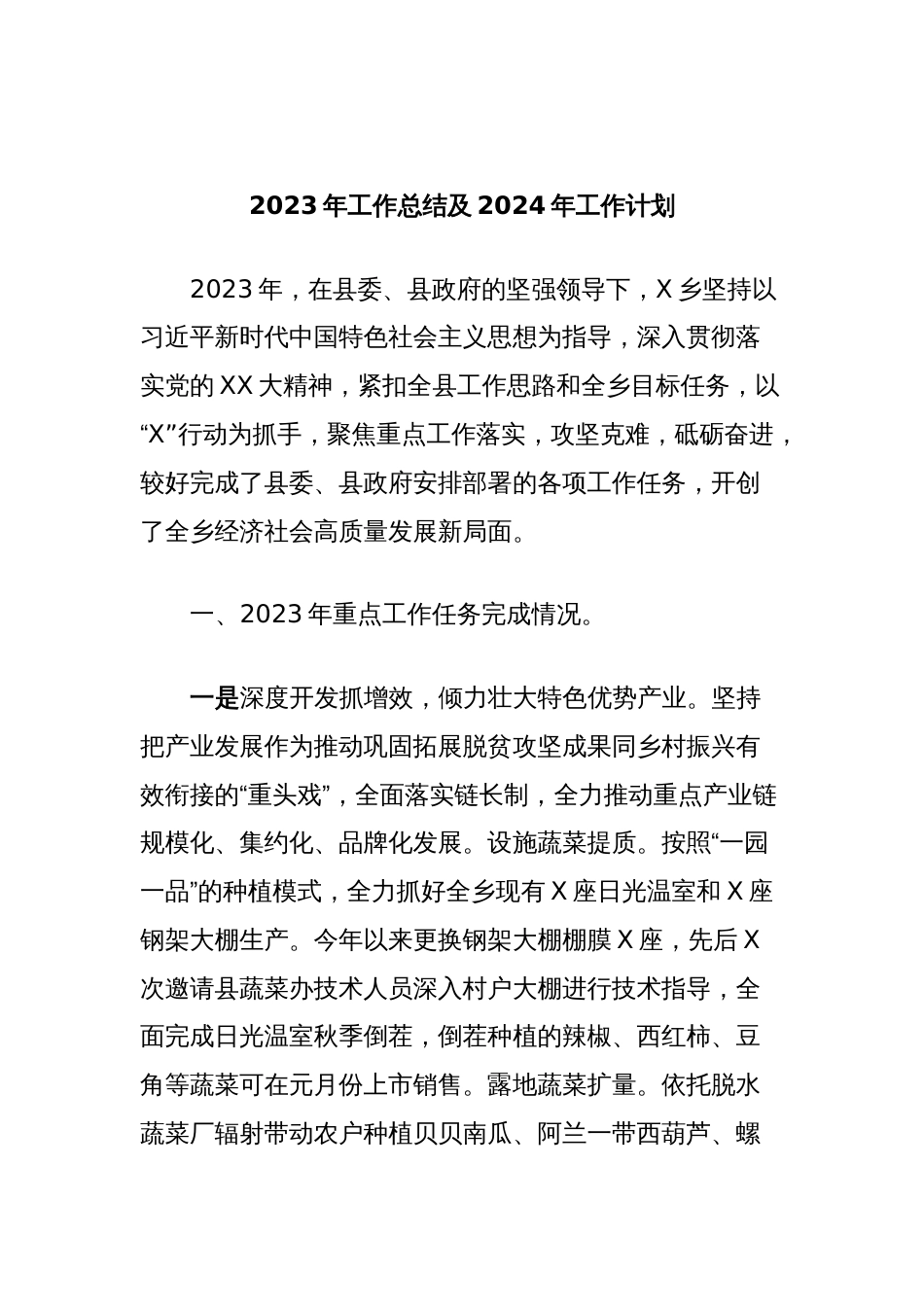 2023年工作总结及2024年工作计划 (2)_第1页