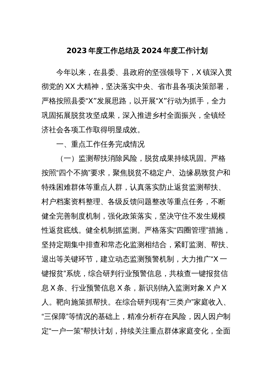 2023年度工作总结及2024年度工作计划_第1页