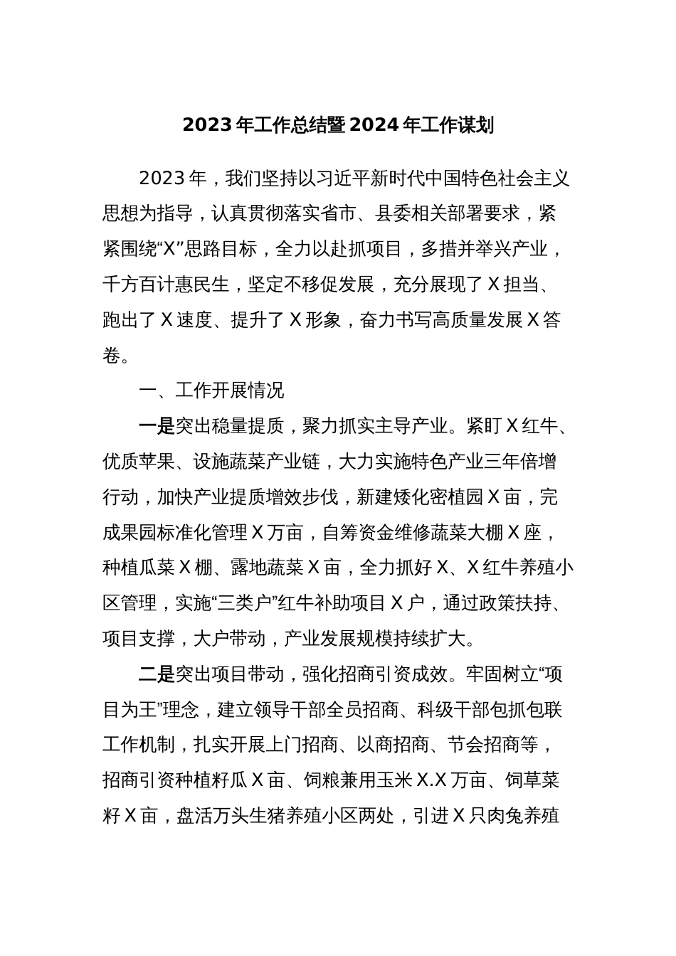 2023年工作总结暨2024年工作谋划_第1页