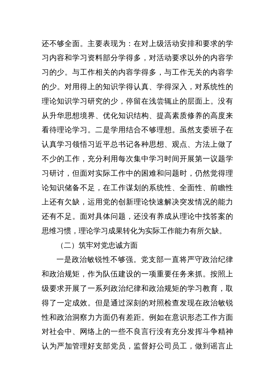 党支部班子主题教育暨教育整顿专题组织生活会对照检查材料_第2页