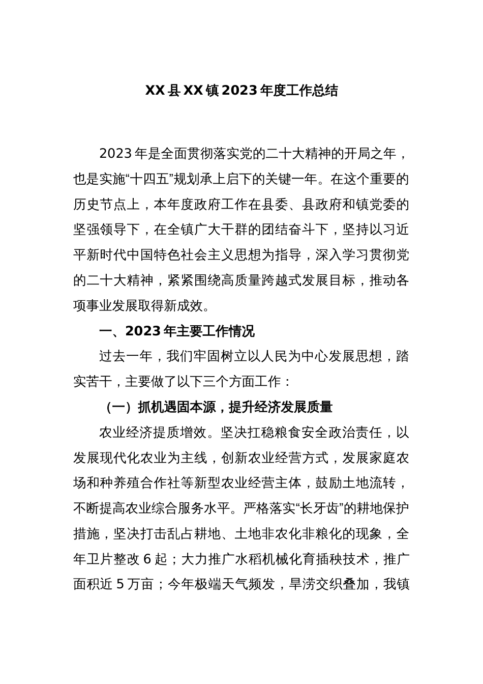 XX县XX镇2023年度工作总结_第1页