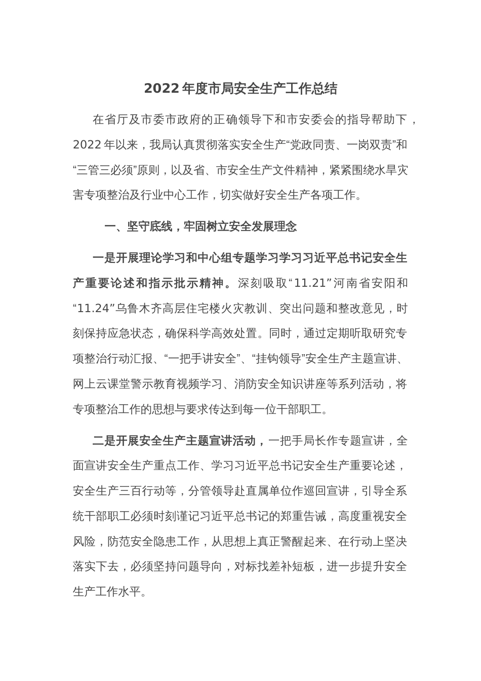 2022年度市局安全生产工作总结_第1页