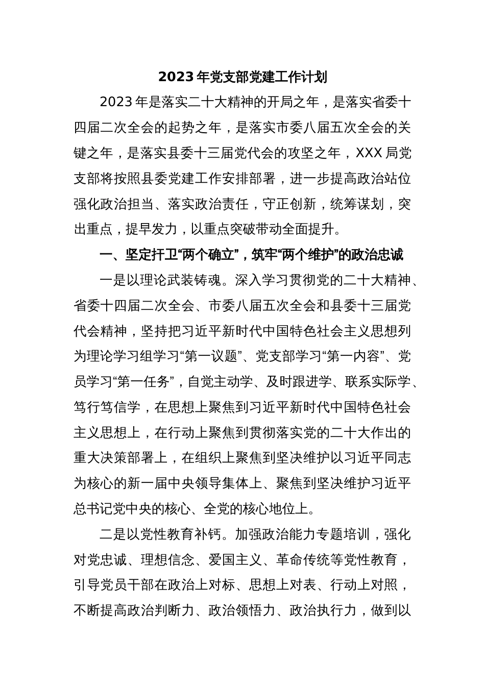 2023年党支部党建工作计划_第1页