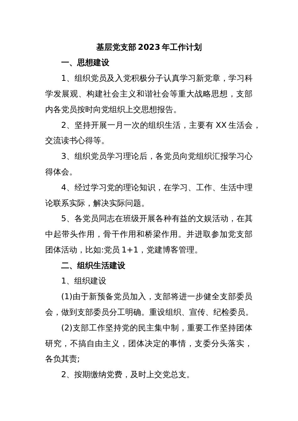 基层党支部2023年工作计划_第1页